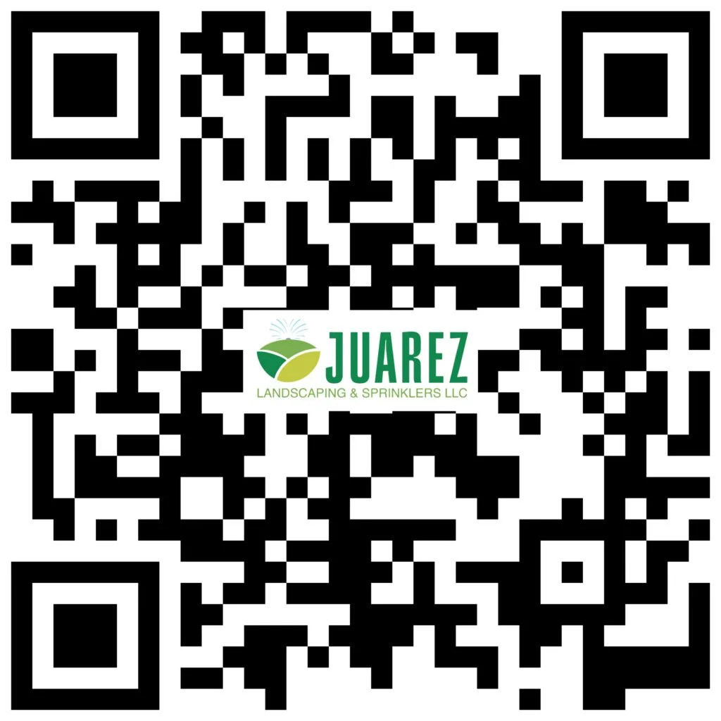 juarez qr vcard Mesa de trabajo 1 1024x1024 (1)