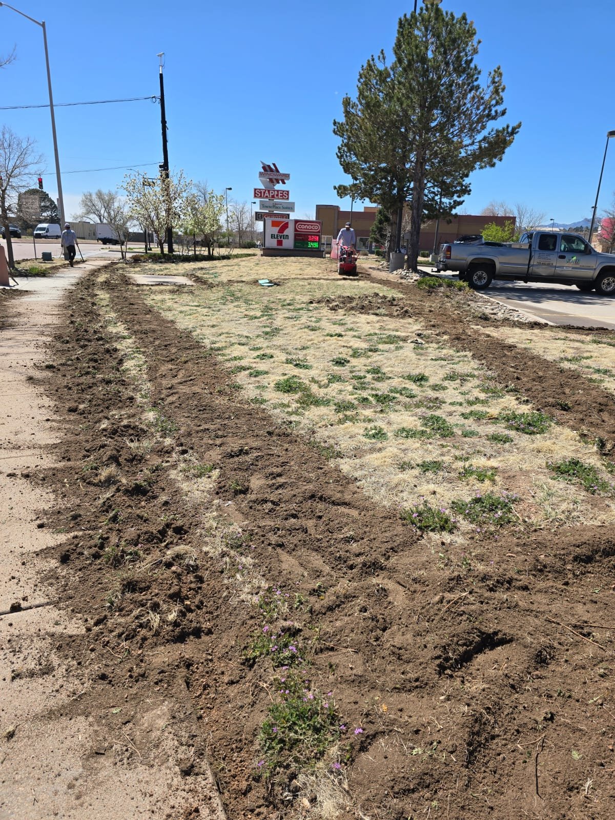 Professional outdoor landscaping project