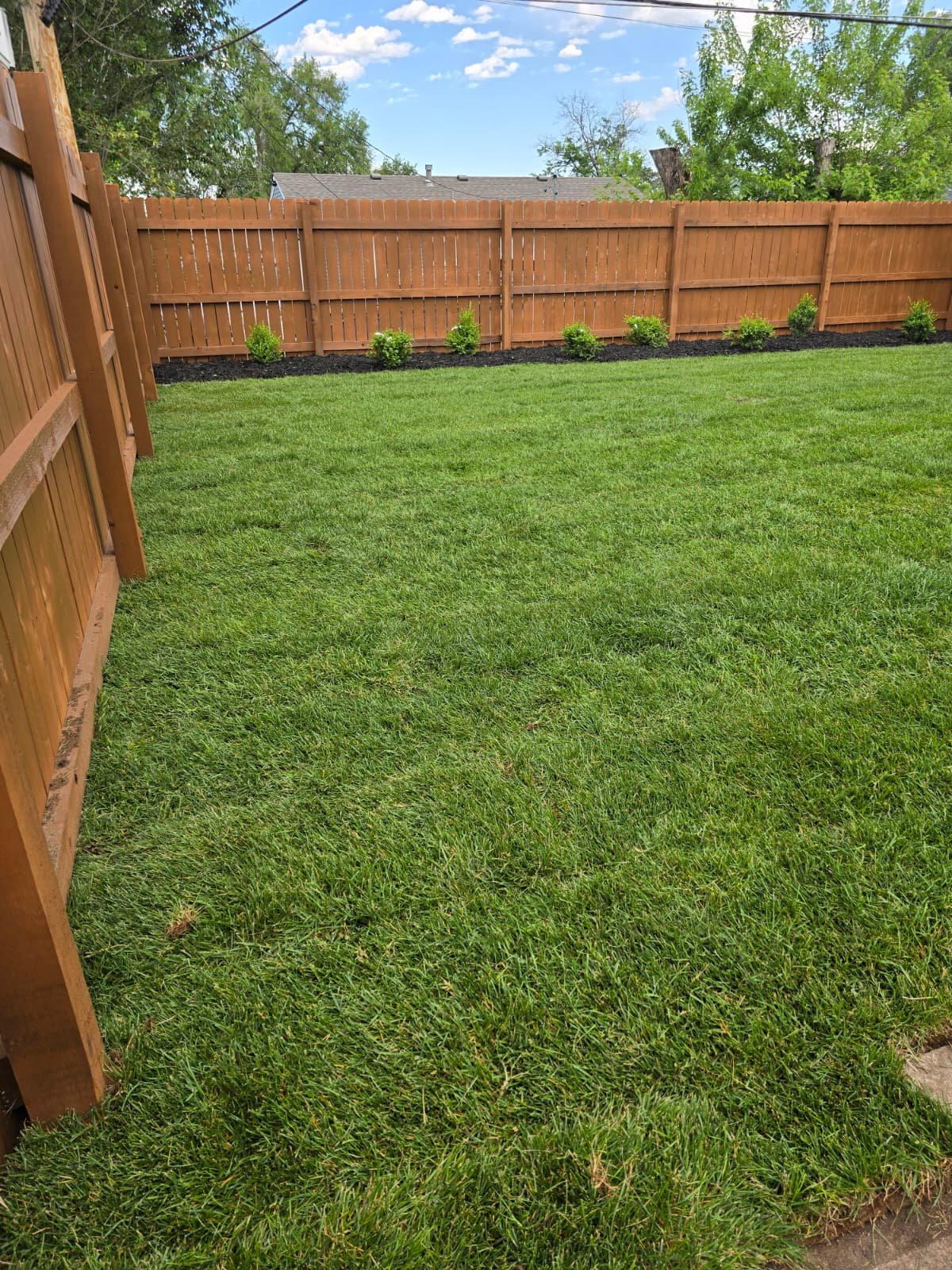 Completed lawn project